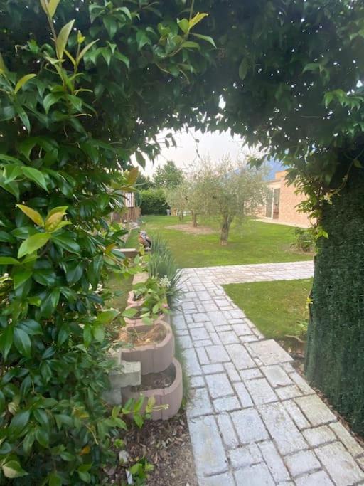 Photo of Others in Riva del Garda