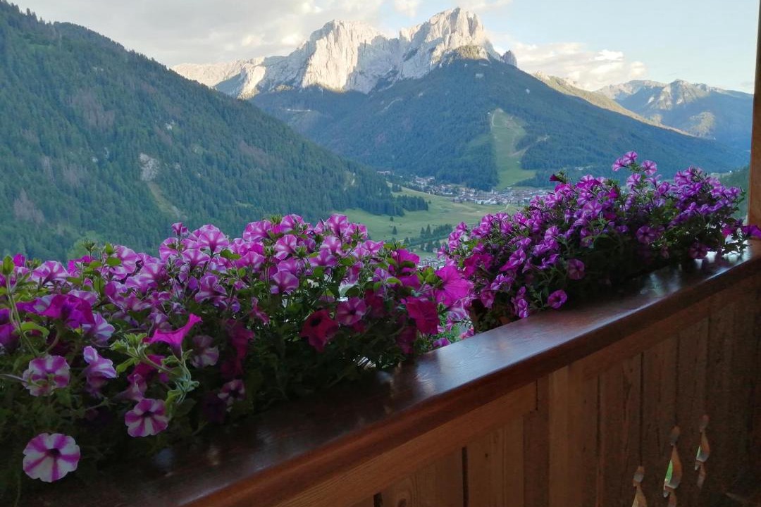 Photo of Others in San Giovanni di Fassa