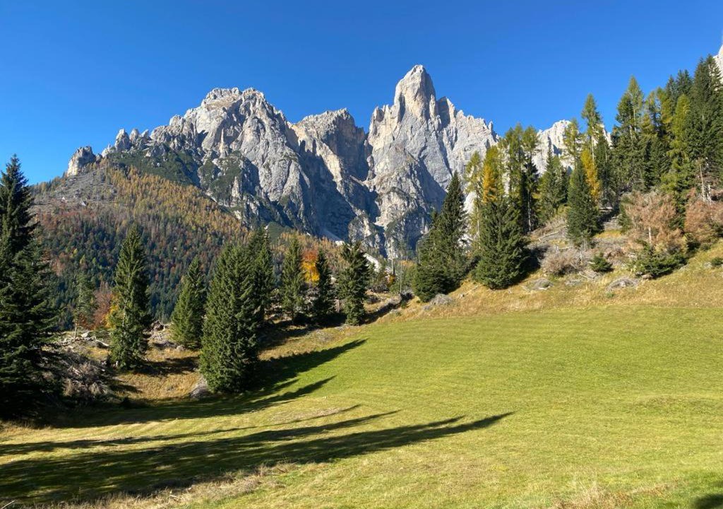 Photo of Others in Primiero San Martino di Castrozza