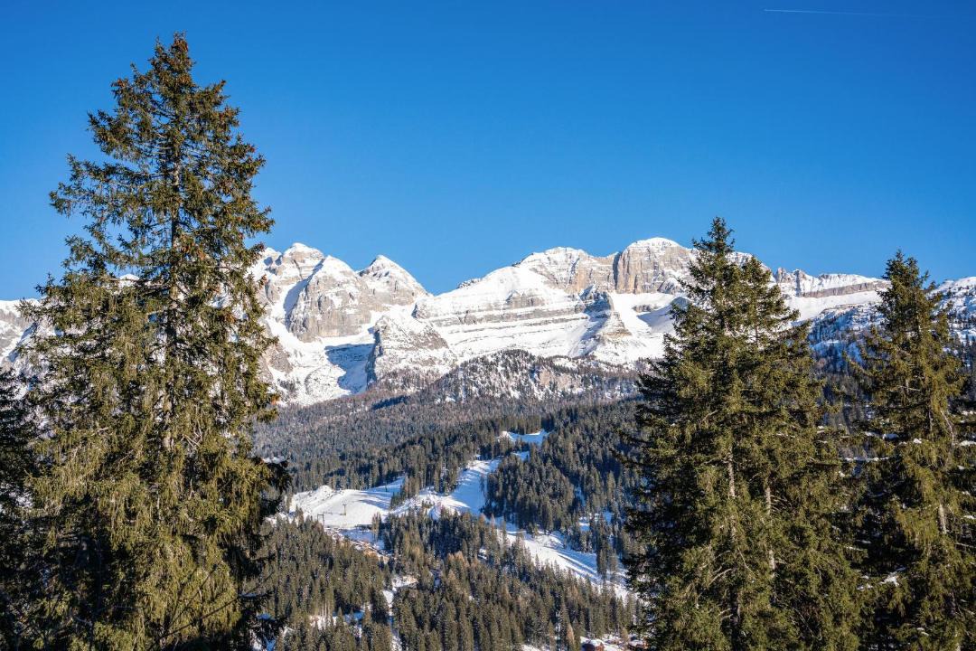 Photo of Others in Madonna di Campiglio