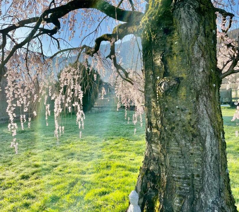 Photo of Others in Calceranica al Lago