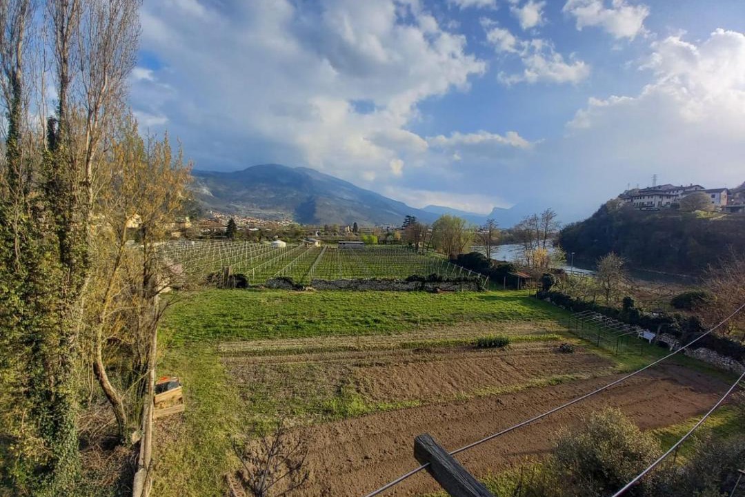 Photo of Others in Rovereto