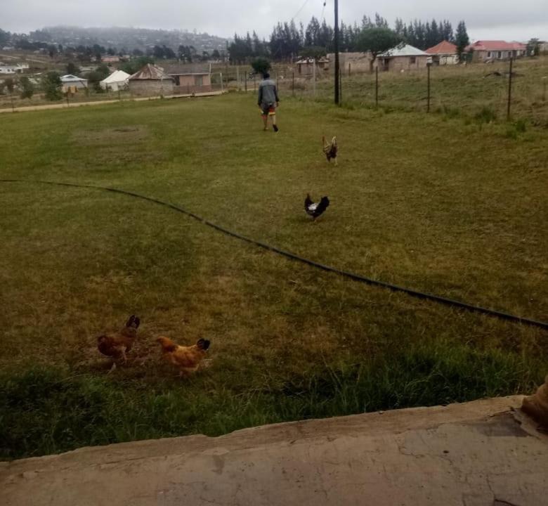 Photo of Others in Mkhambathini