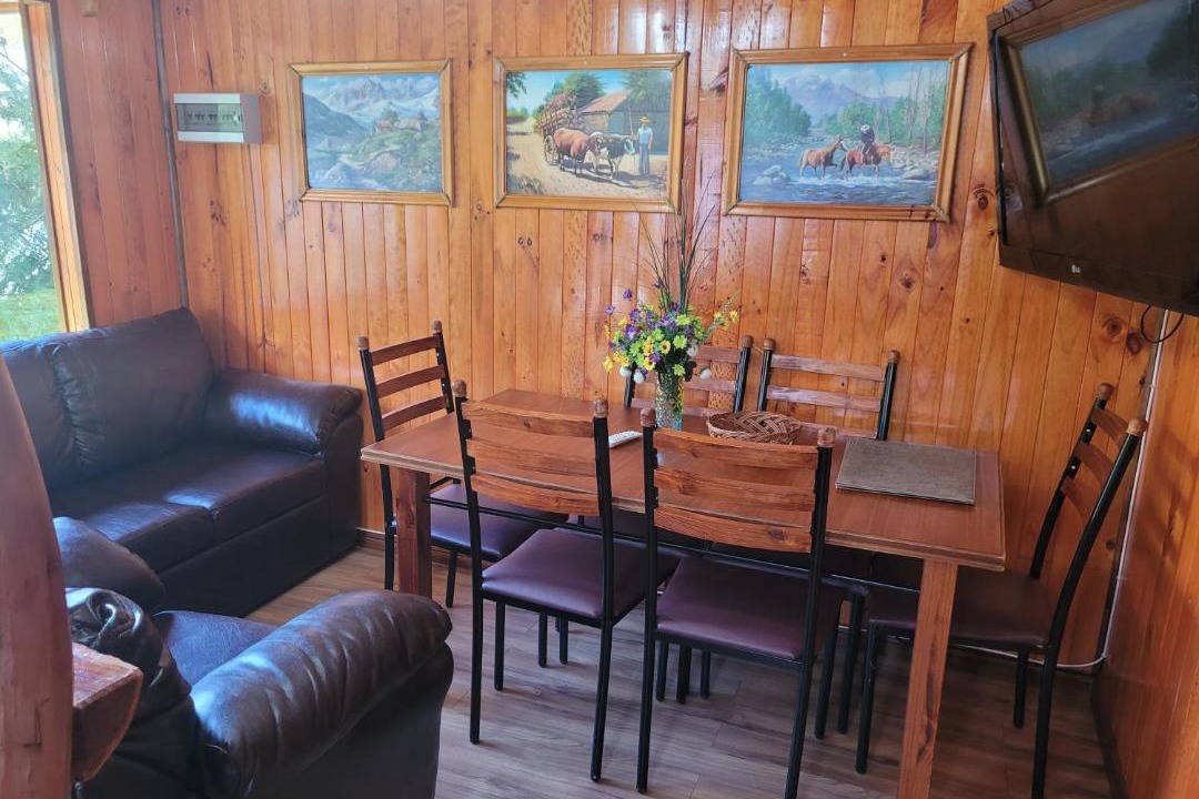 Photo of Others in Puyehue