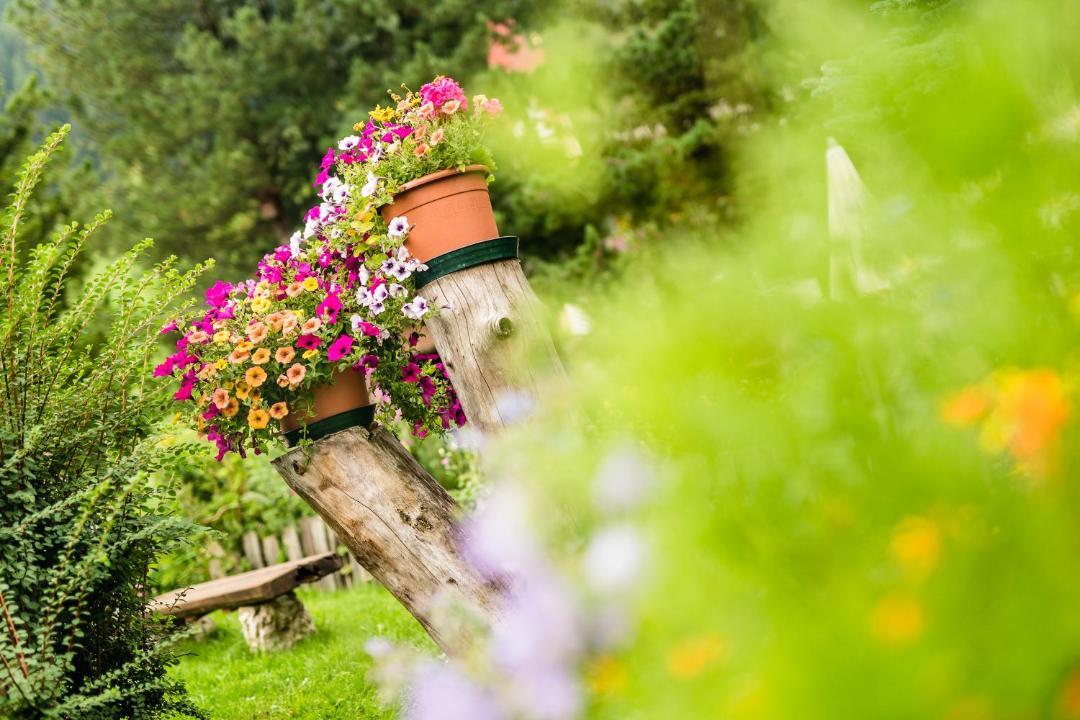 Photo of Others in Selva di Val Gardena