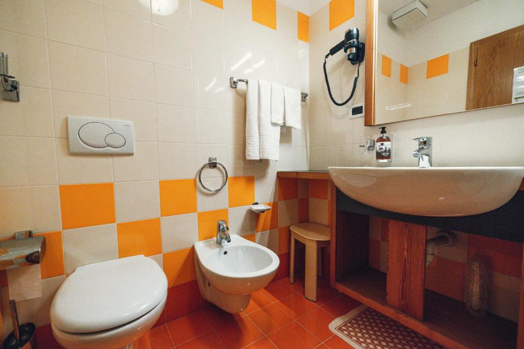 Photo of Bathroom in Malosco