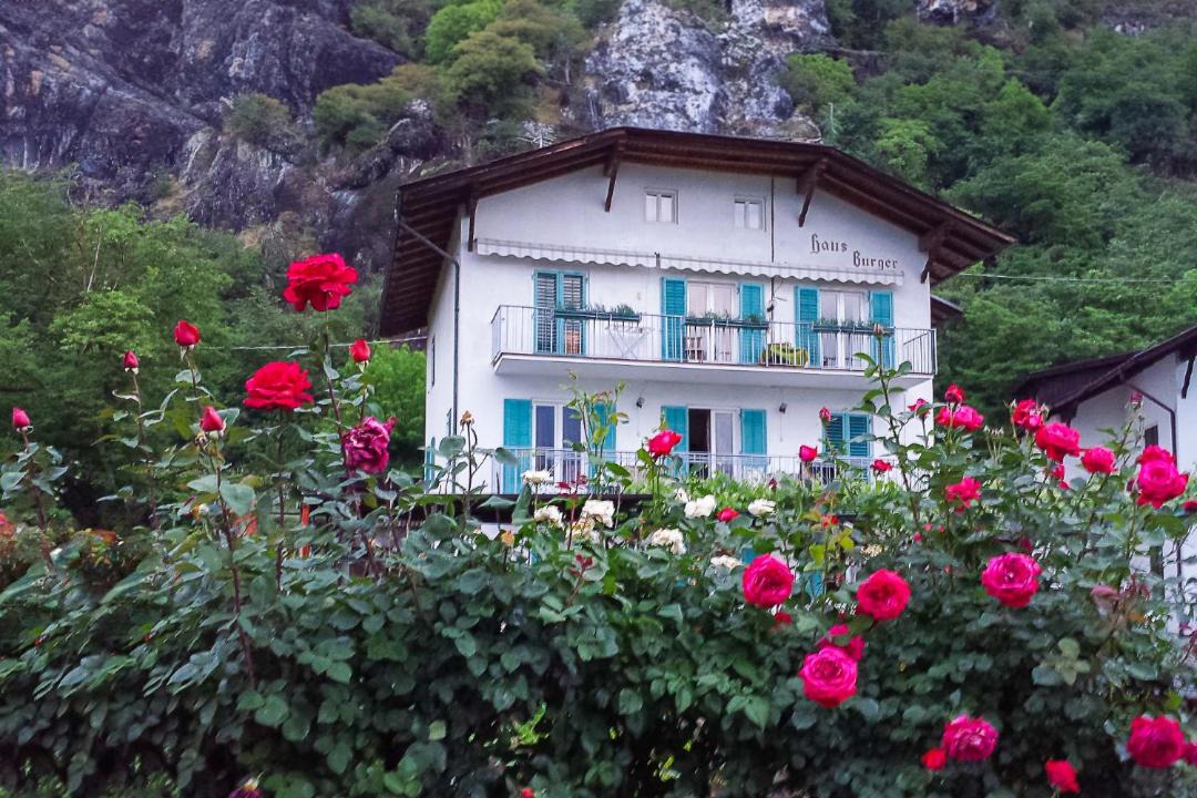 Photo of Buildings in Terlano