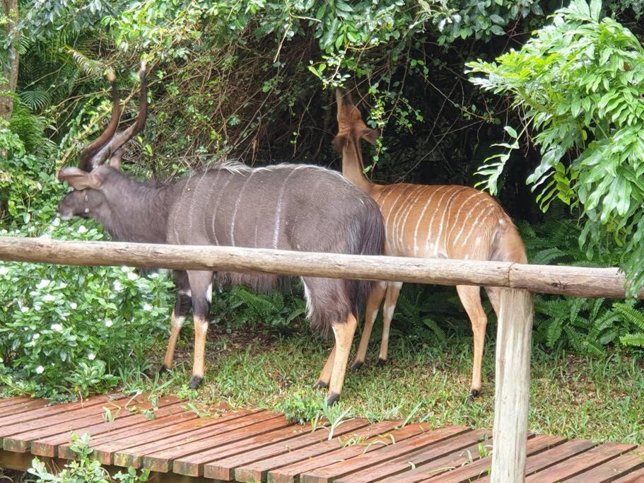 Photo of Patio Balcony in Sodwana Bay