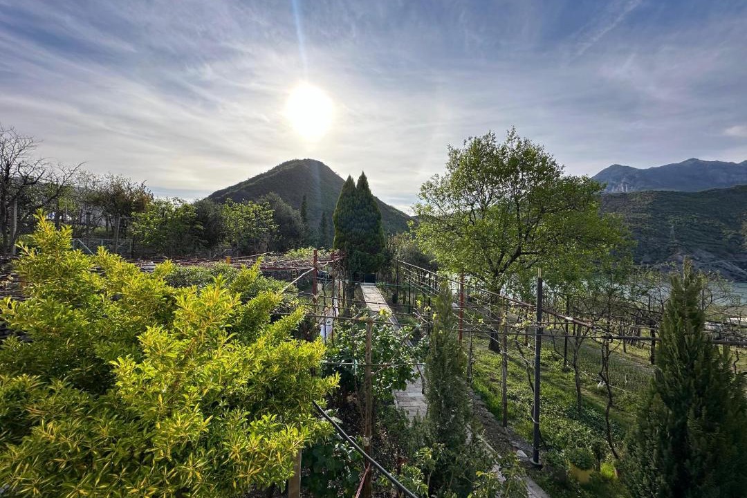 Photo of Others in Koman