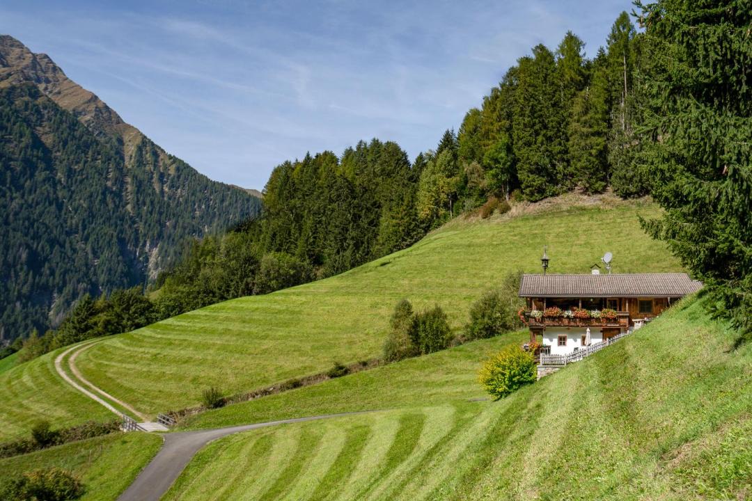 Photo of Others in Selva dei Molini