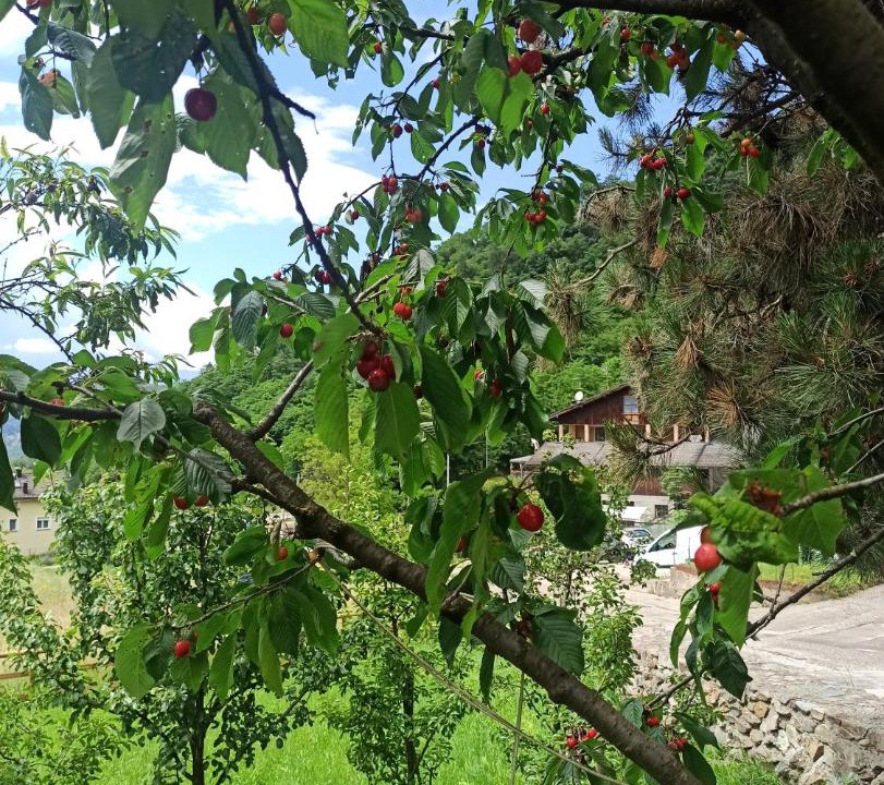 Photo of Others in Pergine Valsugana