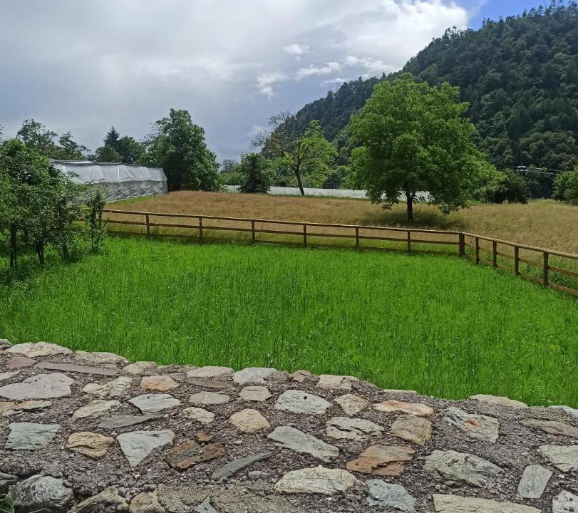 Photo of Others in Pergine Valsugana