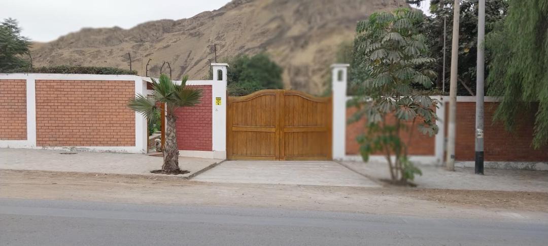 Photo of Others in Pachacamac