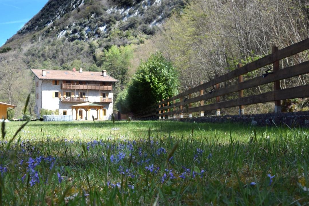 Photo of Others in Calavino