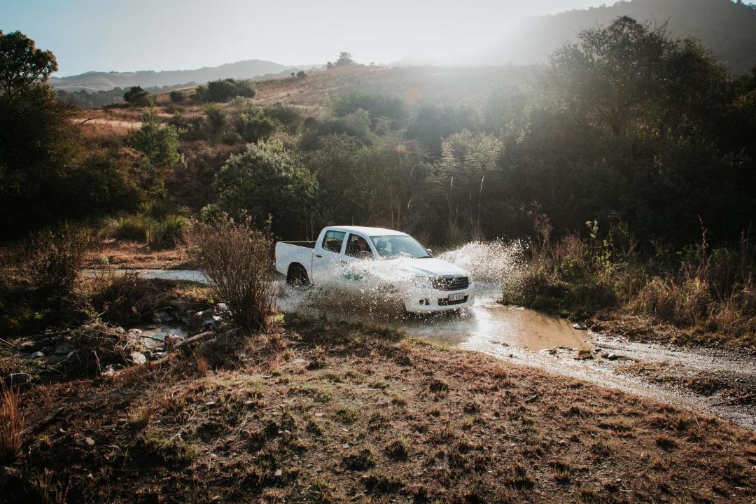 Photo of Others in Karkloof Nature Reserve