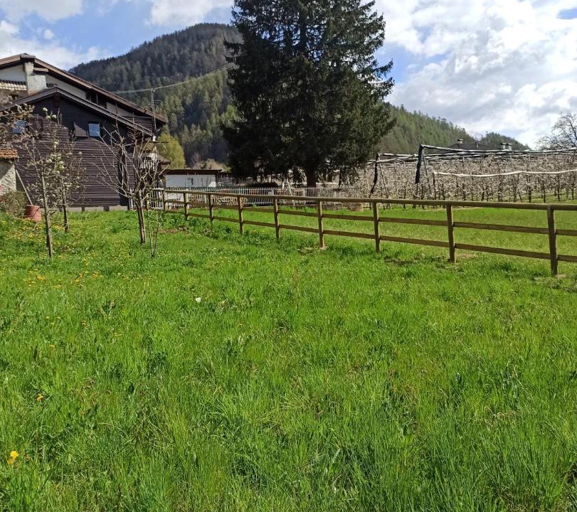 Photo of Others in Pergine Valsugana
