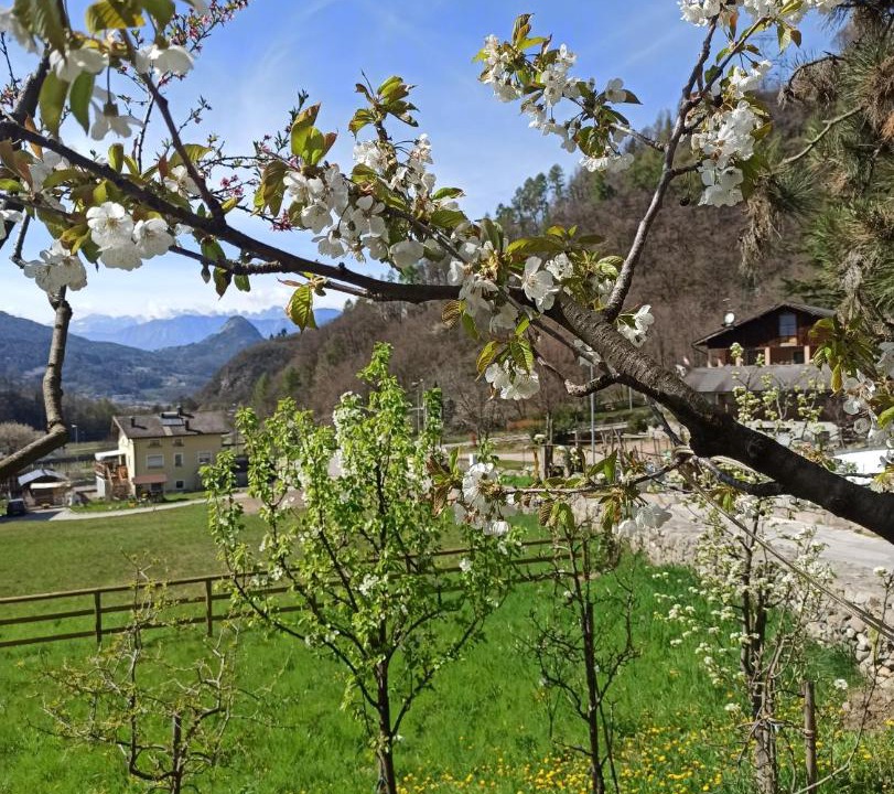 Photo of Others in Pergine Valsugana