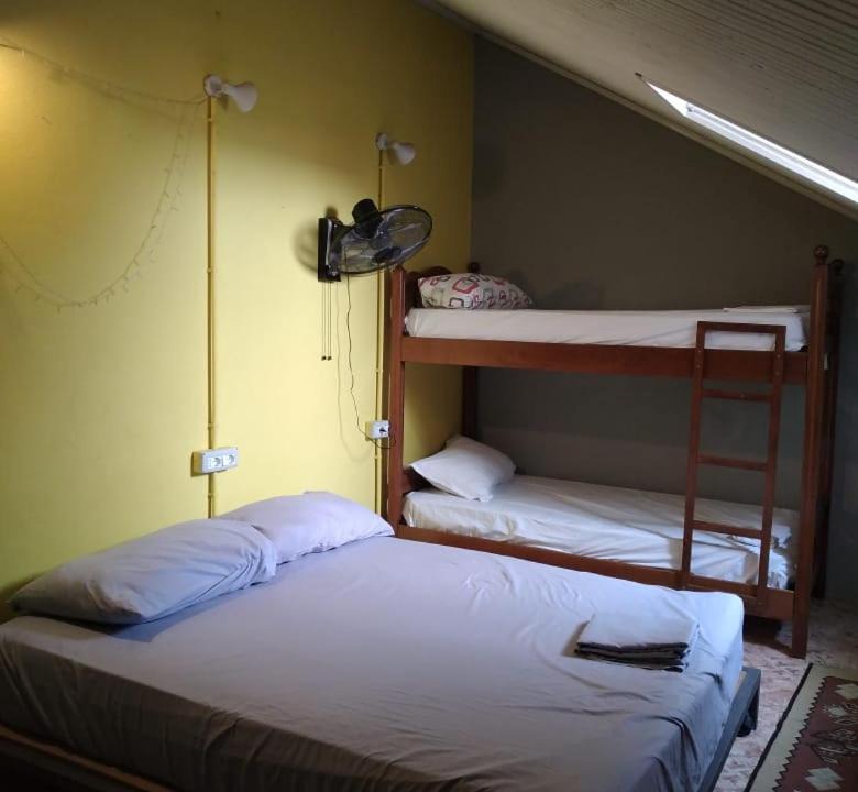 Photo of Others in Shkoder