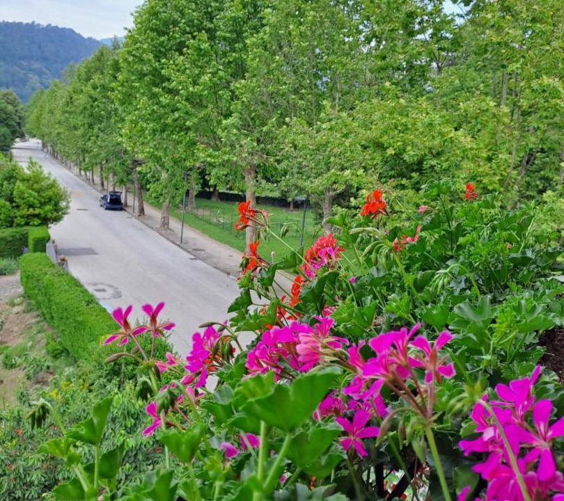 Photo of Outdoor in Levico Terme