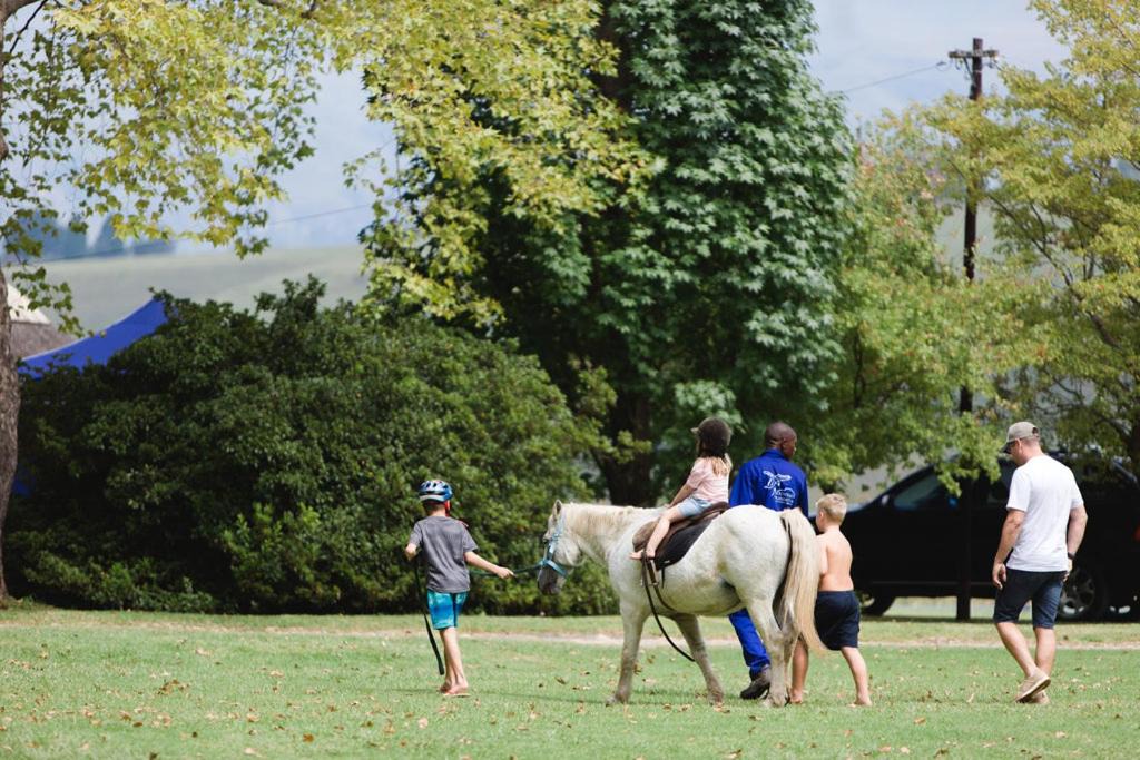 Photo of Others in Cathkin Park
