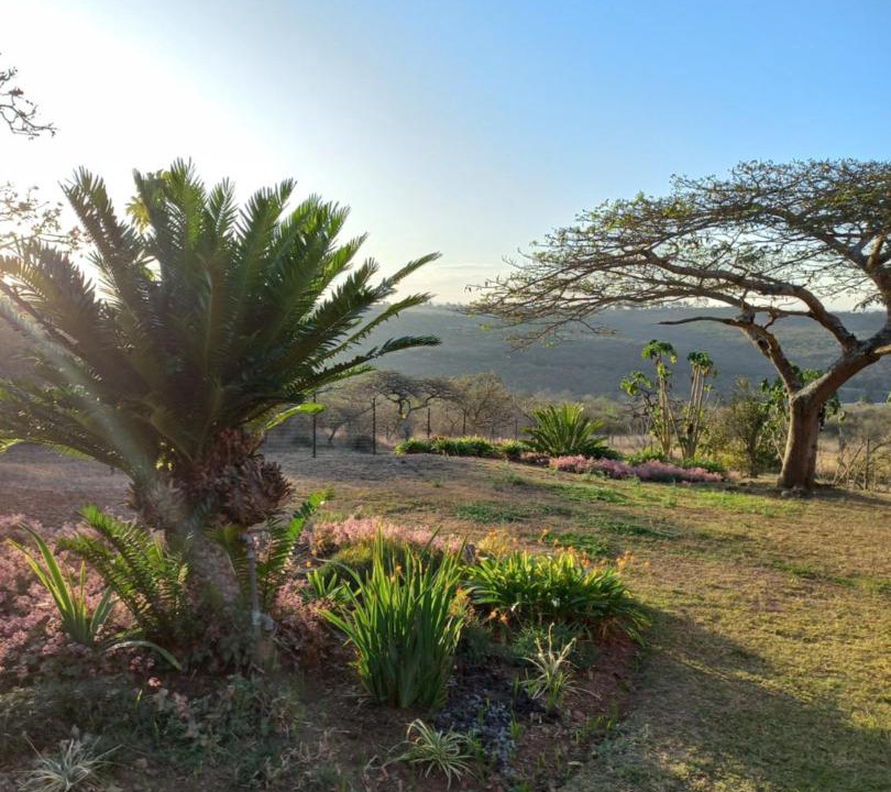 Photo of Others in Pietermaritzburg