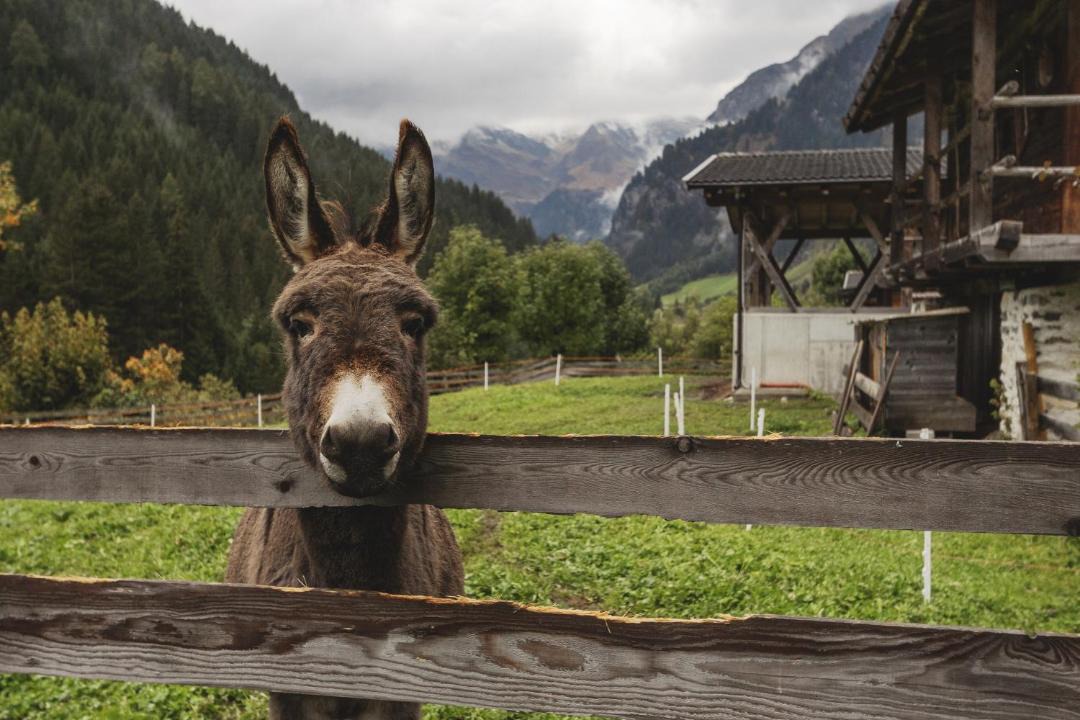 Photo of Others in Racines