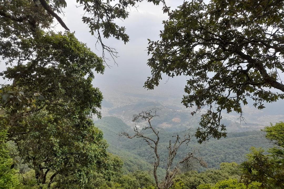 Photo of Outdoor in Nagarjun