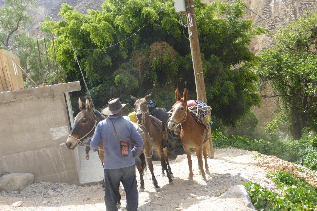 Photo of Others in Cabanaconde
