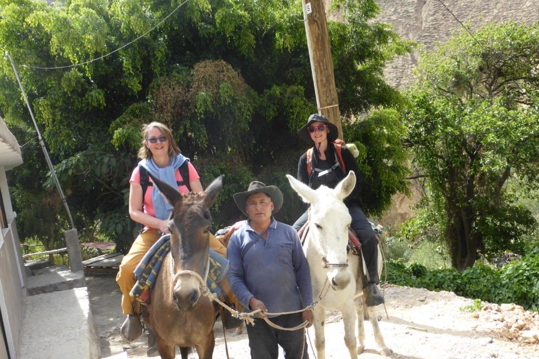 Photo of Others in Cabanaconde