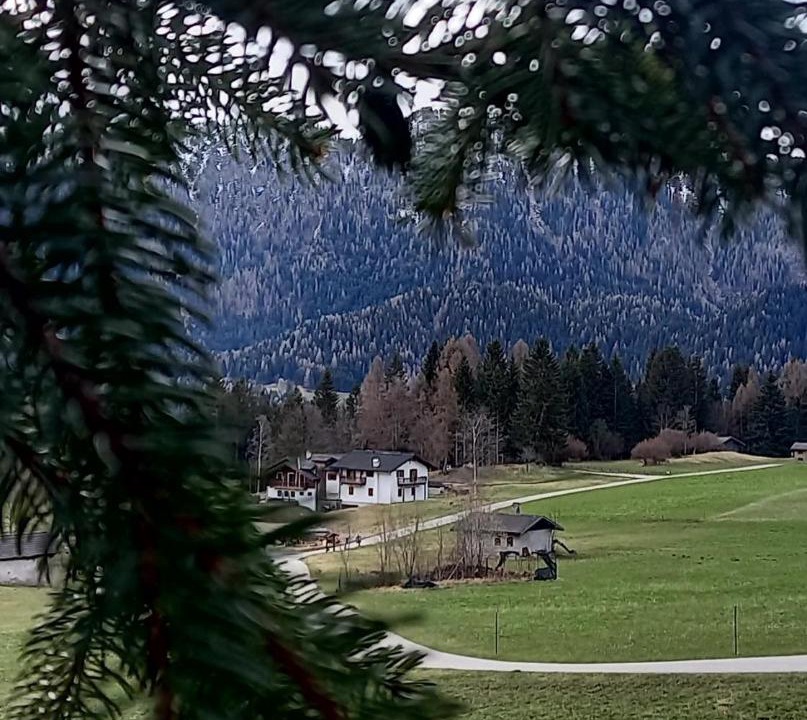 Photo of Others in Primiero San Martino di Castrozza