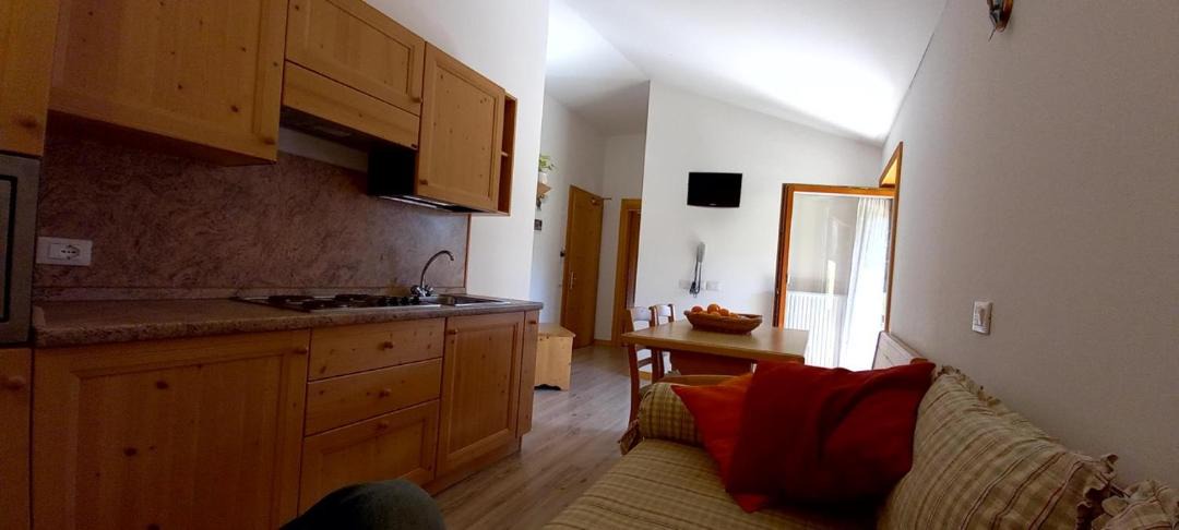 Photo of Others in Primiero San Martino di Castrozza