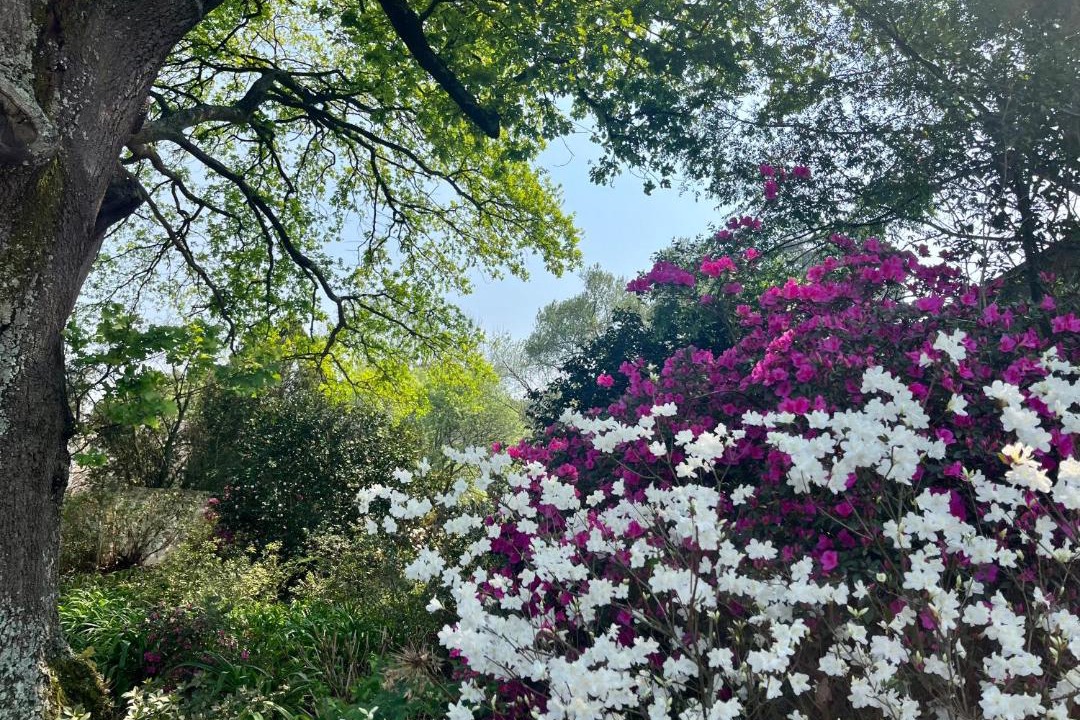 Photo of Outdoor in Balgowan