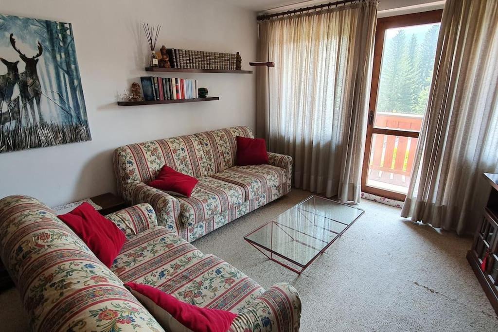 Photo of Livingroom in Campo Carlo Magno
