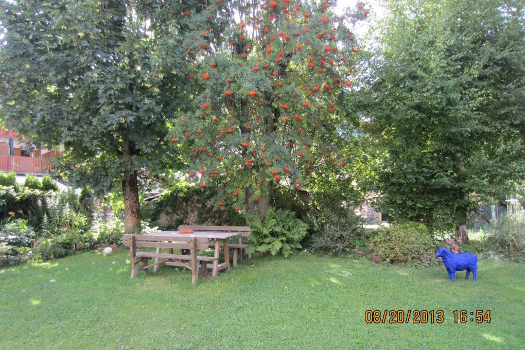 Photo of Others in Moena