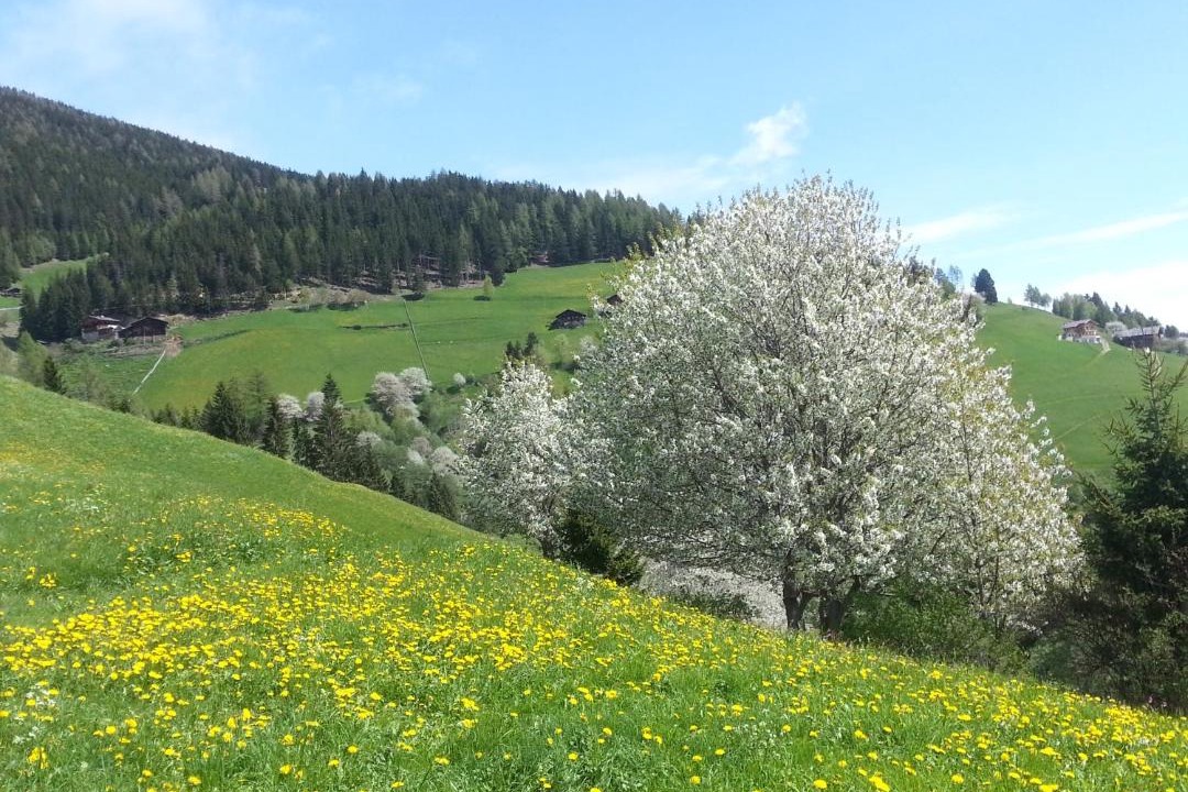 Photo of Others in Santa Valburga