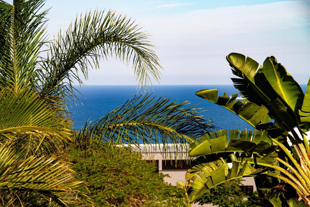 Photo of Others in Umhlanga