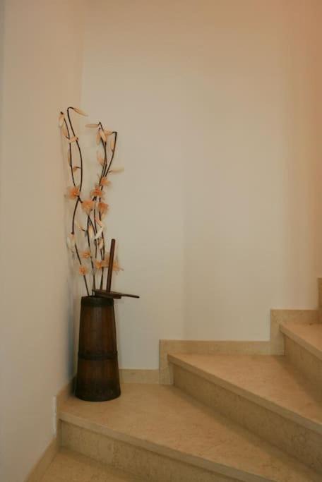 Photo of Others in Villa Agnedo