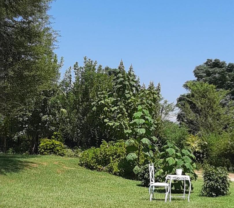 Photo of Others in Emadlangeni
