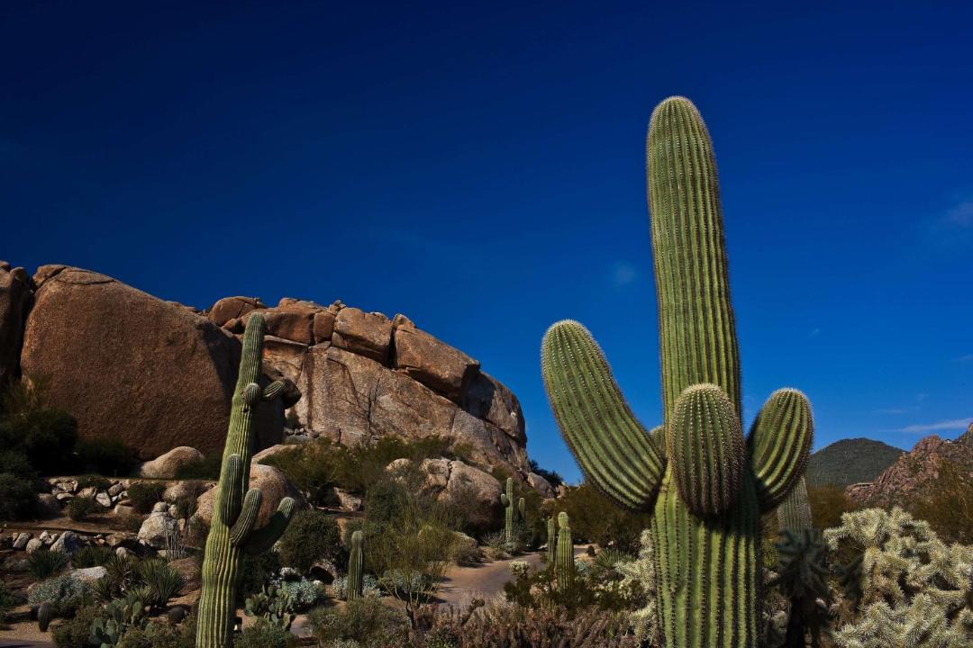 Photo of Others in The Boulders