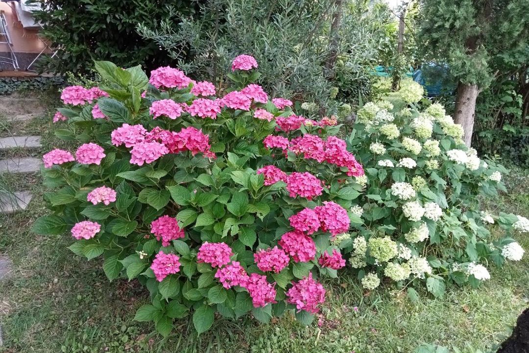 Photo of Outdoor in Vilpiano