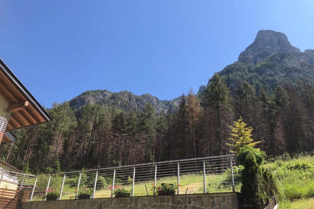 Photo of Others in Stava