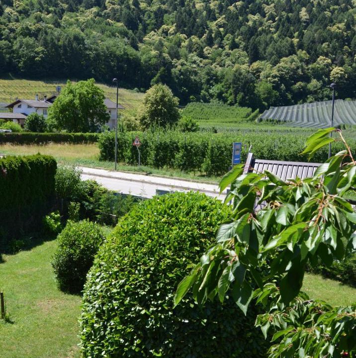 Photo of Outdoor in Caldonazzo