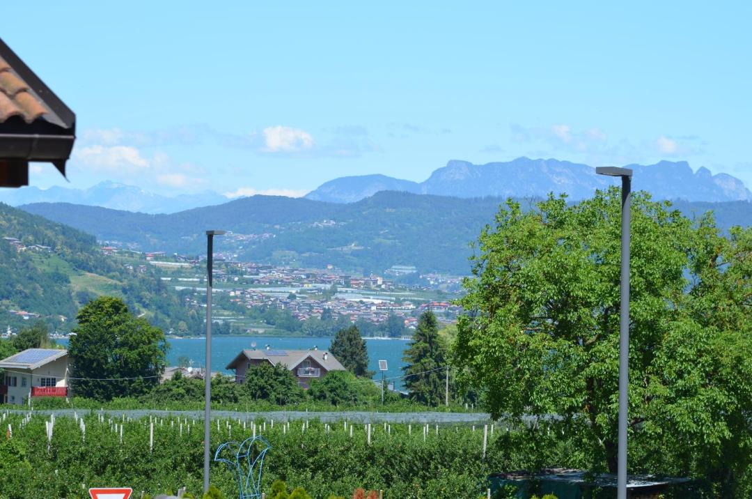 Photo of Outdoor in Caldonazzo