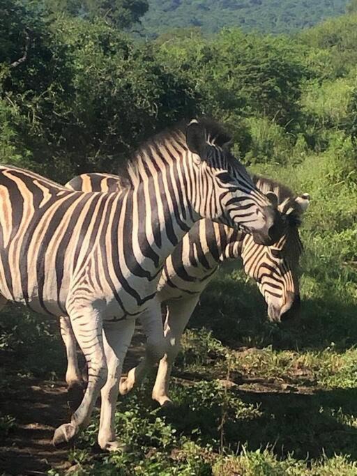 Photo of Others in Pietermaritzburg