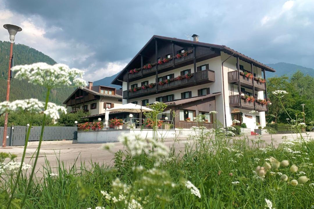 Photo of Others in Pinzolo