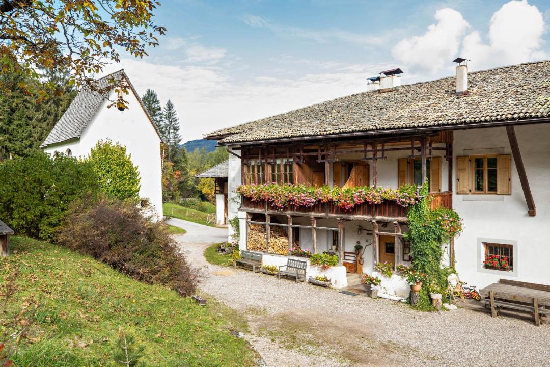 Photo of Others in Montagna