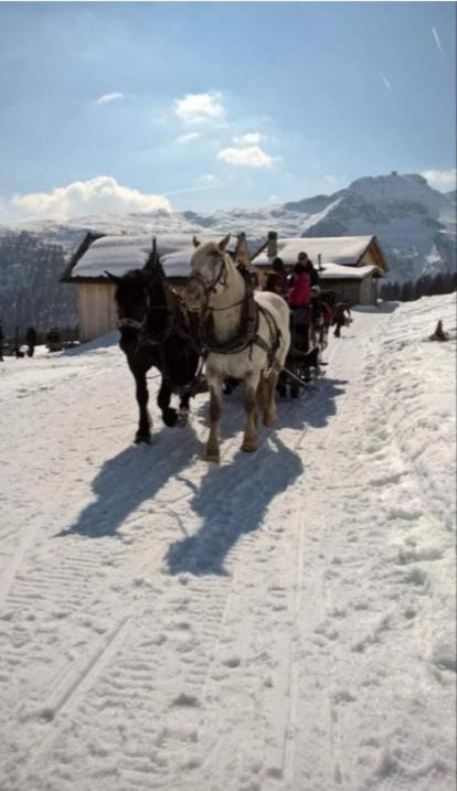 Photo of Others in San Pellegrino Pass