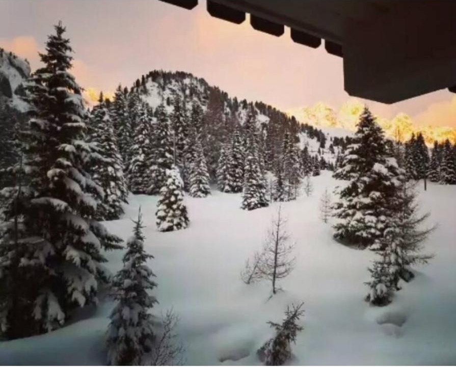 Photo of Others in San Pellegrino Pass