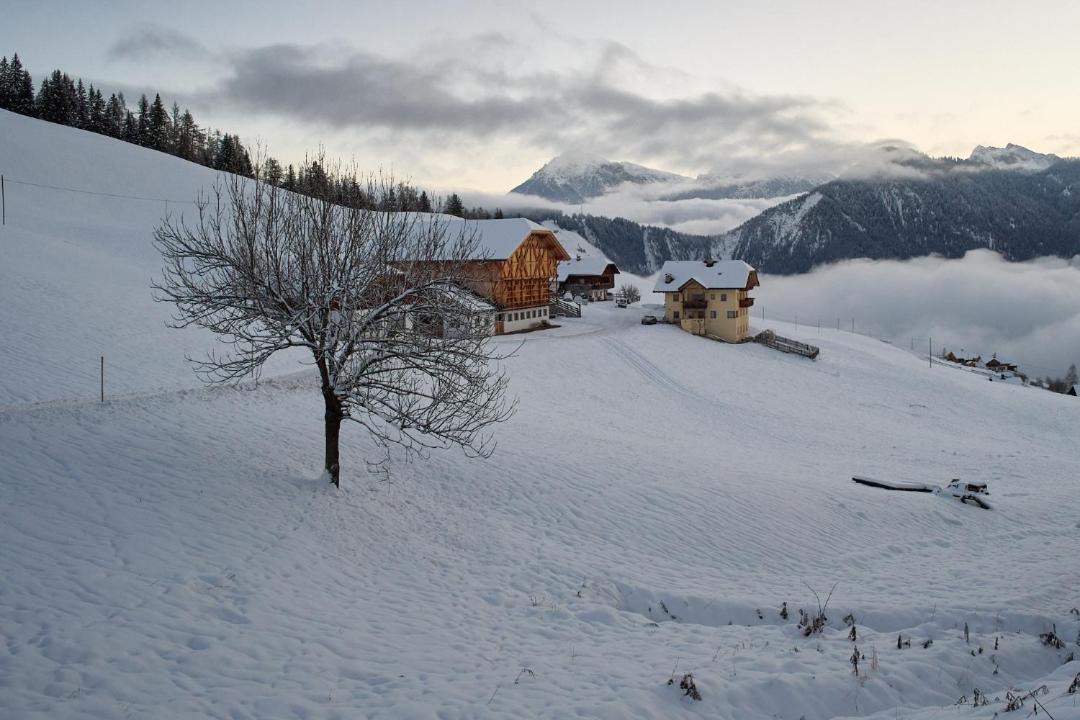 Photo of Others in San Martino in Badia
