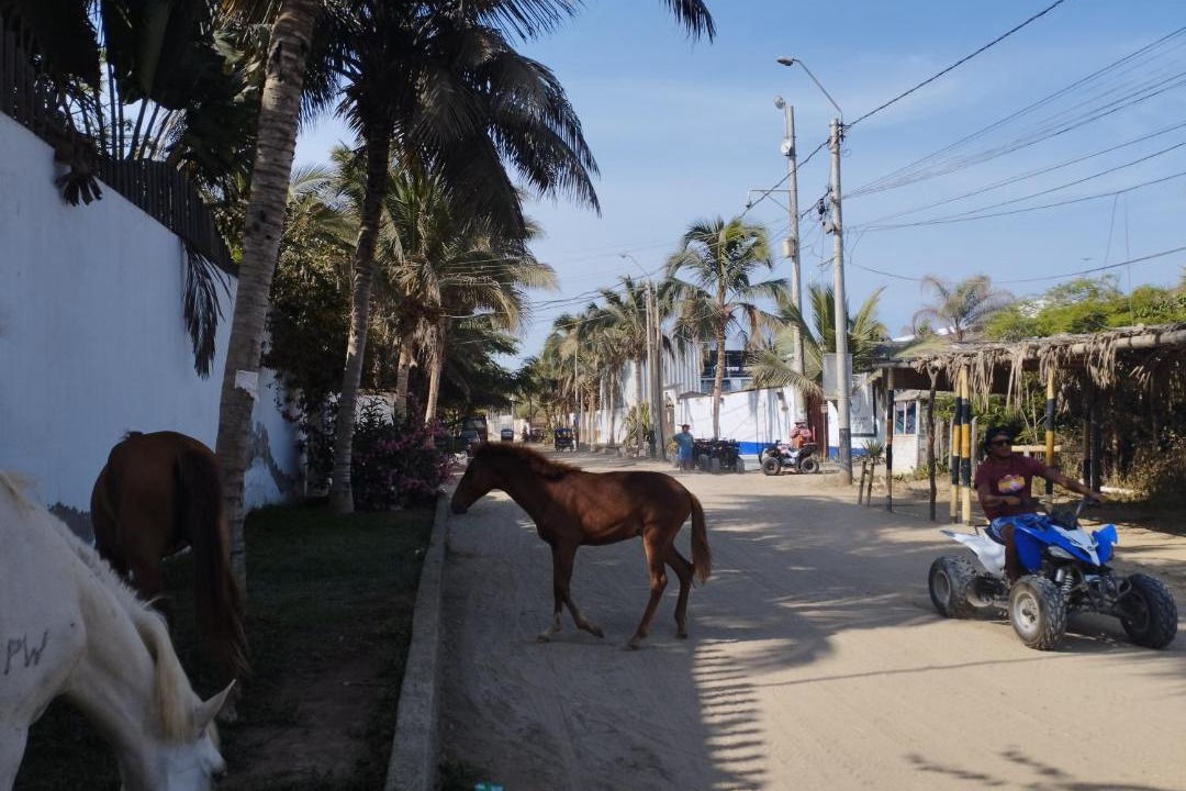 Photo of Others in Mancora